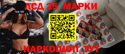 гашик Кимры