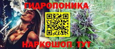 гашик Кимры