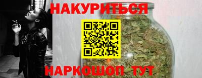 спайс Кингисепп