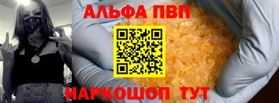 спайс Кингисепп
