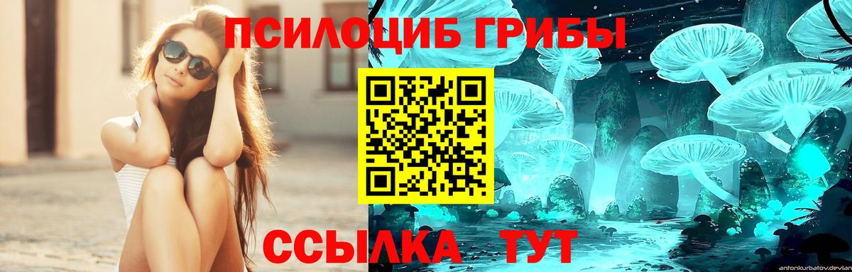 Грозный  Псилоцибиновые грибы мухоморы  как найти закладки  Вход с VPN  Галлюциногенные грибы мухоморы 